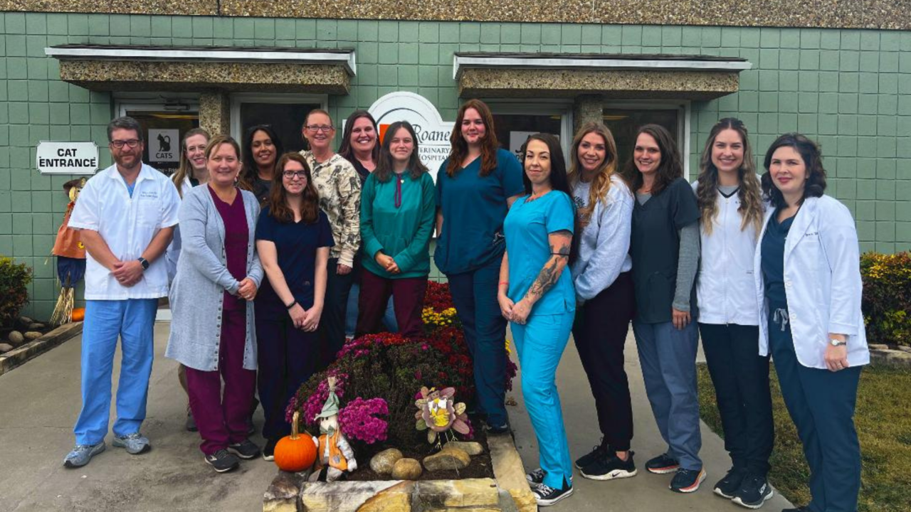 Harriman, TN 37748 Veterinarians Roane Veterinary Hospital